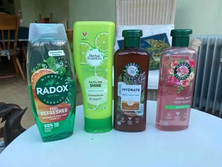 Photo of free Shampoos, shower gel+consitionner (Peta’s PE1) #1