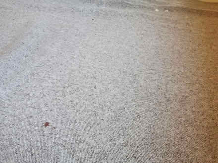 Photo of free old carpet for garden/ DIY (S8 meersbrook) #2