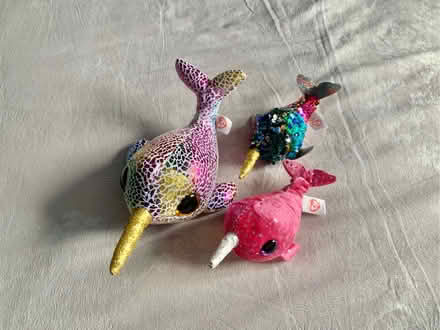 Photo of free Charming Family of TY Narwhal Plushies (Fleetwood FY7) #1