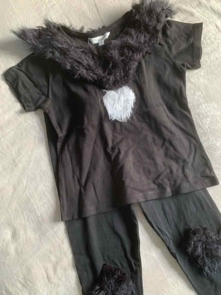 Photo of free Kids Black Cat Halloween Costume Base 7-8yrs (Fleetwood FY7) #1