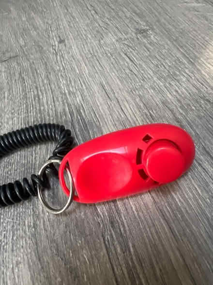Photo of free Pet Training Clicker. Good condition (Southsea PO4) #2