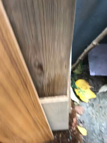 Photo of free Random wood (Stoke Newington N16) #1