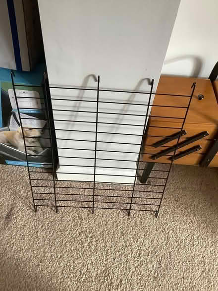 Photo of free Dog crate divider (Great Maplestead CO9) #1