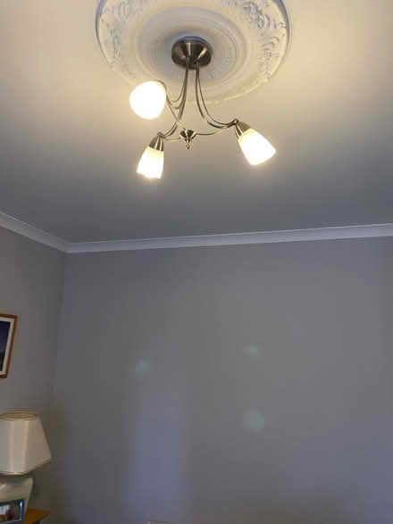 Photo of free Ceiling lights (Brecon town) #2