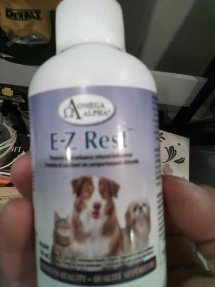 Photo of free Dog&cat stuff (Phila pa fishtown) #3