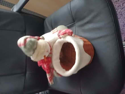 Photo of free Christmas tree plus decorations (Hollybush NP44) #1