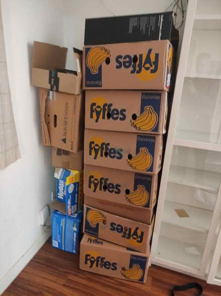 Photo of free Empty cardboard boxes for moving (High Town LU2) #1