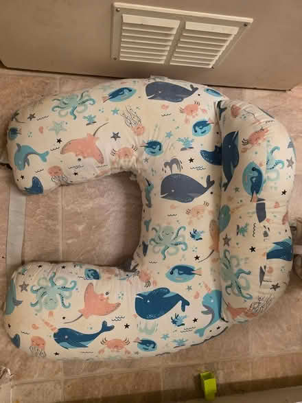 Photo of free Breastfeeding pillow (Fulwood, S10) #1