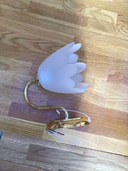Photo of free A single wall light, with glass shade (Garden City OX5) #3