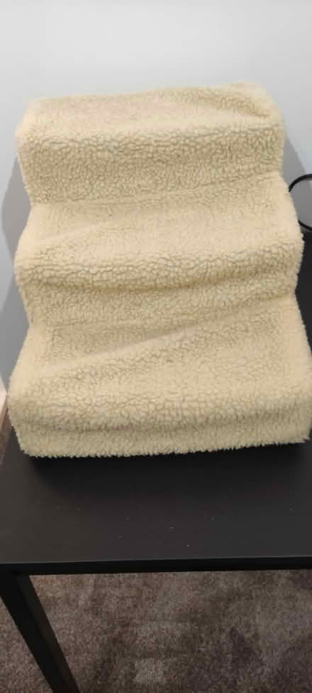 Photo of free Pet Stairs (Gainsborough DN21) #1