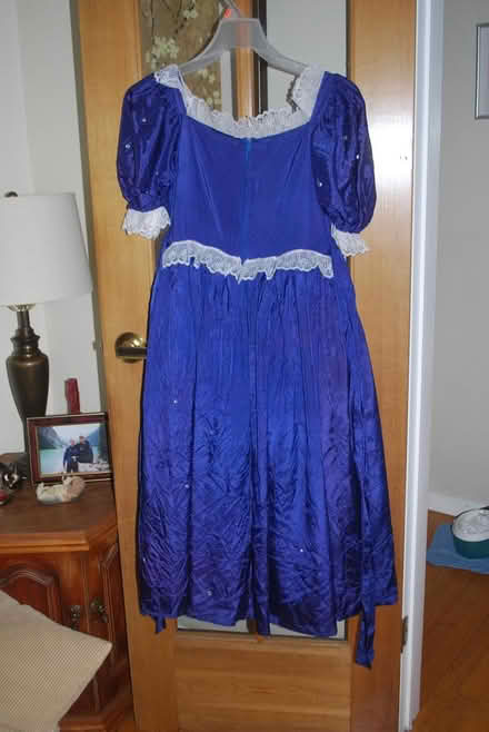 Photo of free Princess Hallowe'en, Size 7-8 kid (gatineau ave & de bourgogne st) #2