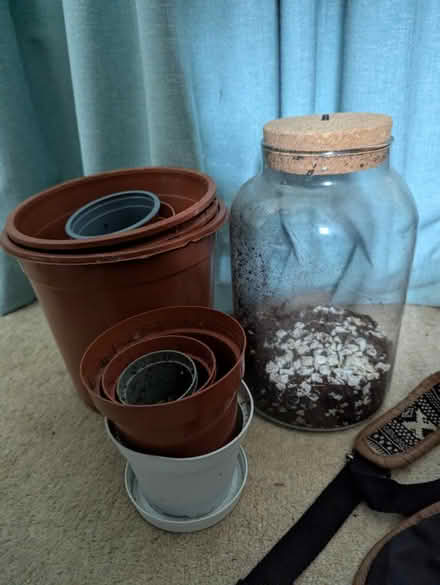 Photo of free Plant pots and terrarium jar (BS7) #1