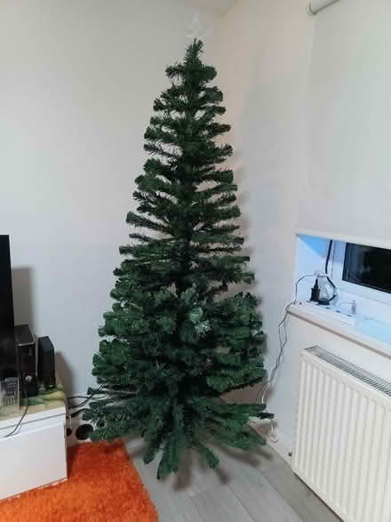 Photo of free Christmas tree (New Addington) #1