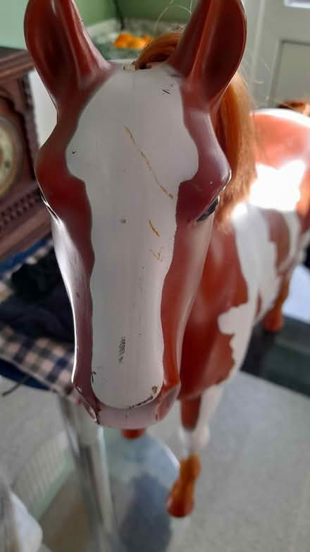 Photo of free big horse (Marshalswick St.Albans) #3