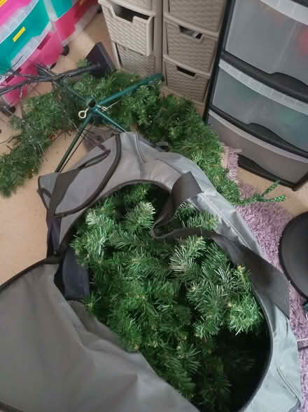Photo of free Christmas tree plus decorations (Hollybush NP44) #3