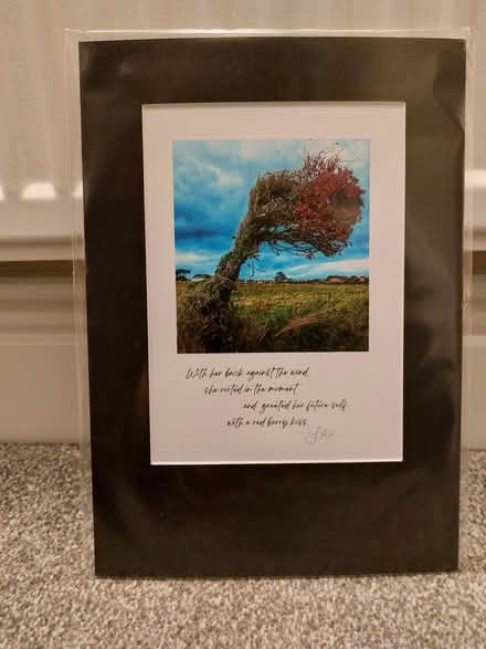 Photo of free Picture with poem (Southsea PO4) #1