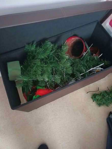 Photo of free Christmas tree plus decorations (Hollybush NP44) #2