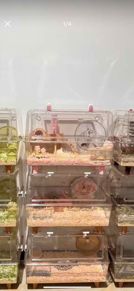 Photo of Hamster cage or house (Maida vale W 9) #2