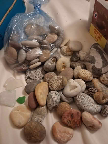 Photo of free Pebbles and seashells (Hauxton) #1