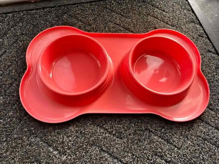 Photo of free Dog / cat food bowl medium/ large (Spondon DE21) #1