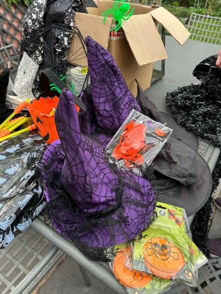 Photo of free Halloween decorations (Camberley GU15) #2