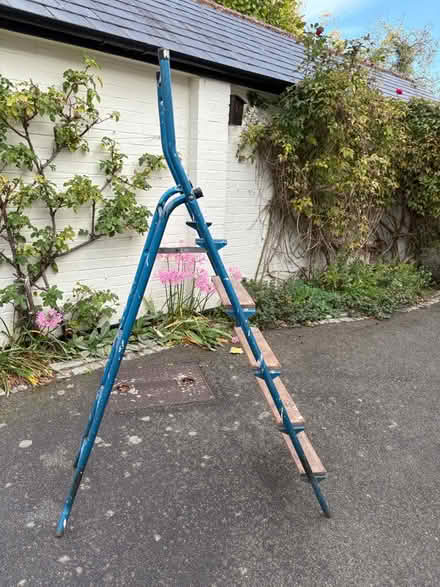 Photo of free Swingback folding step ladder (West Horsley KT24) #2