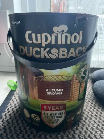 Photo of free Autumn brown paint (Finsbury park) #1