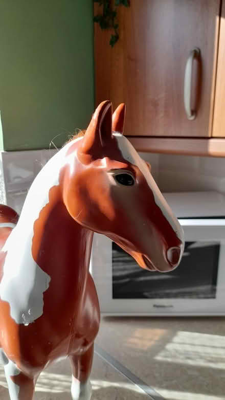 Photo of free big horse (Marshalswick St.Albans) #4