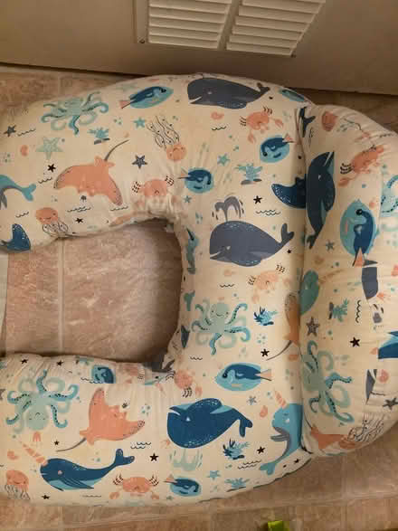 Photo of free Breastfeeding pillow (Fulwood, S10) #2