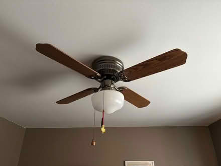 Photo of free Ceiling fan with light (South Sterling Heights) #1