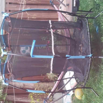 Photo of free One child (Winston Churchill/Liard road) #2