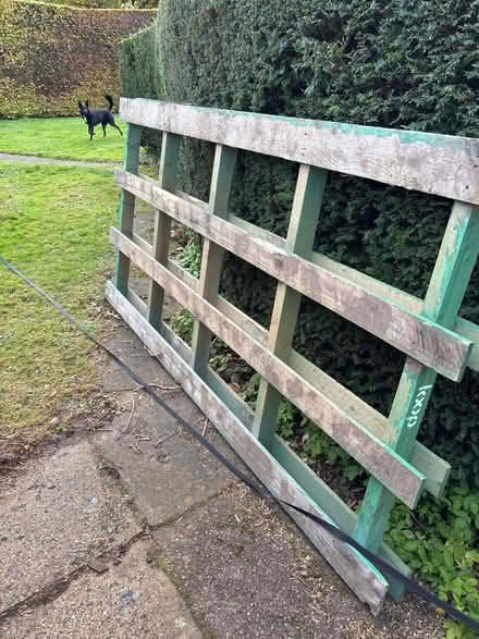 Photo of free Wooden pallets (Shotesham) #2