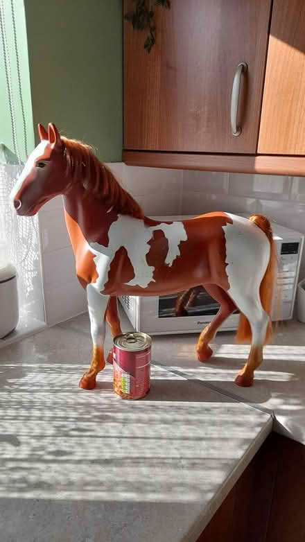 Photo of free big horse (Marshalswick St.Albans) #2