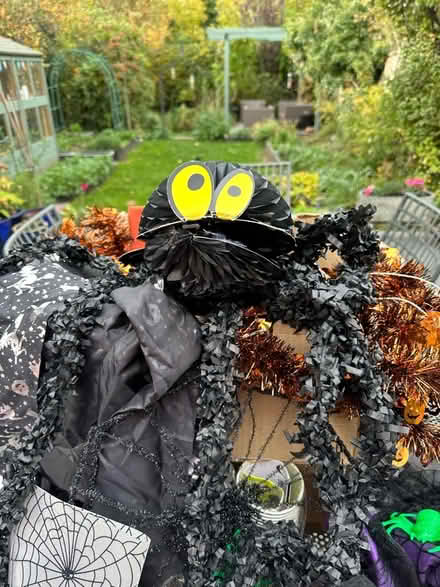 Photo of free Halloween decorations (Camberley GU15) #4