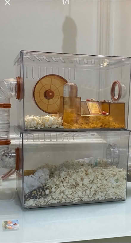 Photo of Hamster cage or house (Maida vale W 9) #1
