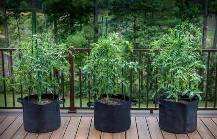Photo of free Planter bags NEW (Fair Lawn, NJ) #4