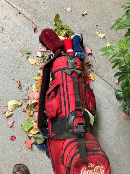 Photo of free Golf clubs (Bellevue) #1