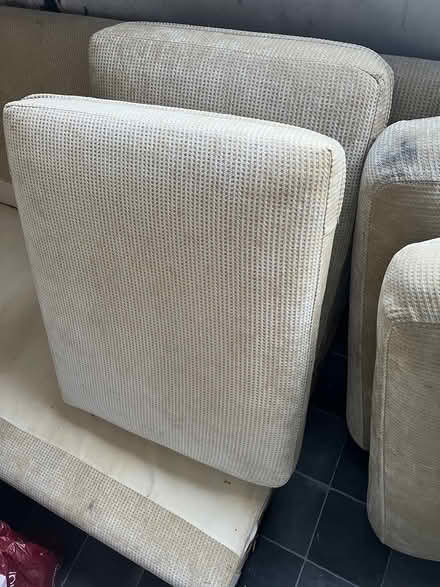 Photo of free Sofa Cushions (Norwich) #1