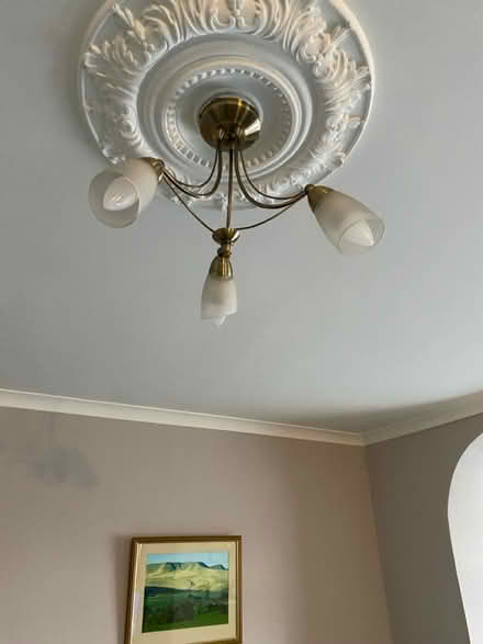 Photo of free Ceiling lights (Brecon town) #1