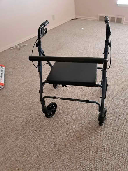 Photo of free Youes for the taking (Beverly Hills) #4