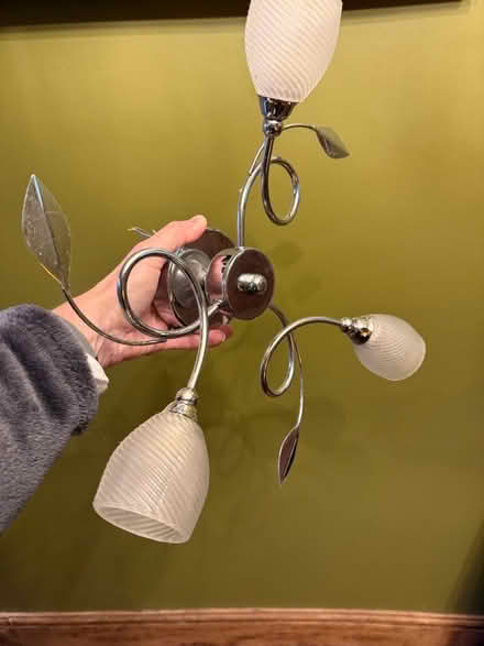 Photo of free Ceiling light (CT13) #3