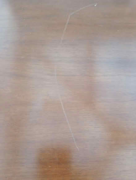 Photo of free Next dining table (llanelli SA14) #2