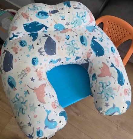 Photo of free Breastfeeding pillow (Fulwood, S10) #3