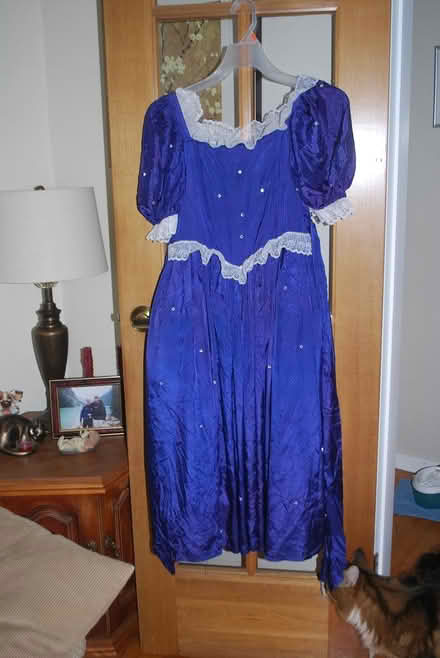 Photo of free Princess Hallowe'en, Size 7-8 kid (gatineau ave & de bourgogne st) #1