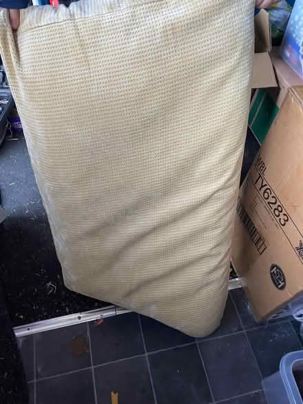 Photo of free Sofa Cushions (Norwich) #3