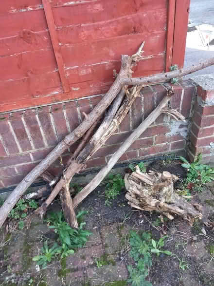 Photo of free Logs (Woodford IG8) #1