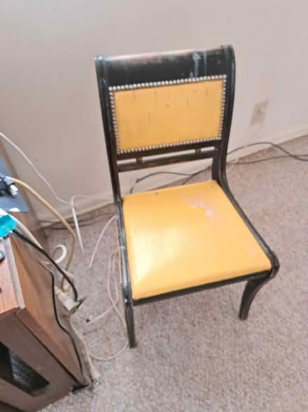 Photo of free Youes for the taking (Beverly Hills) #3