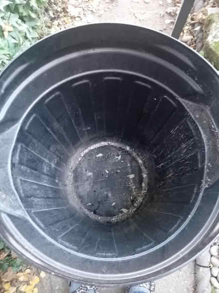 Photo of free 80L black dustbin (Hampton Hill TW11) #3