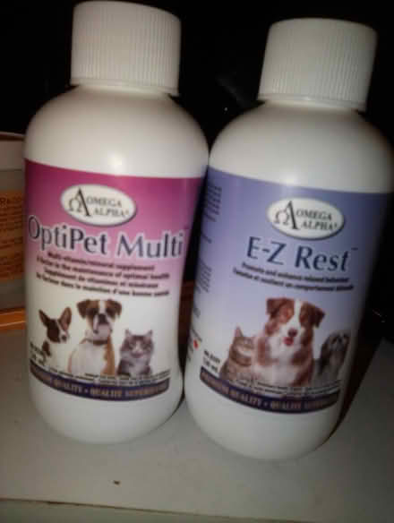 Photo of free Dog&cat stuff (Phila pa fishtown) #2