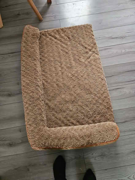 Photo of free Dog bed size medium (Brickhill MK41) #1